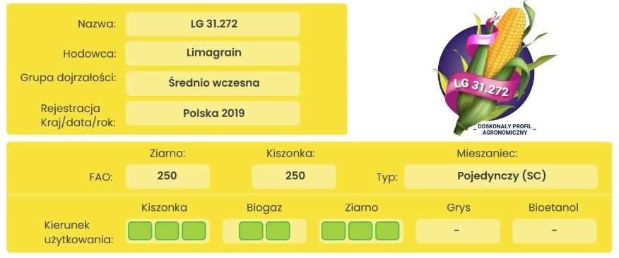 Cechy odmiany kukurydzy LG 31.272