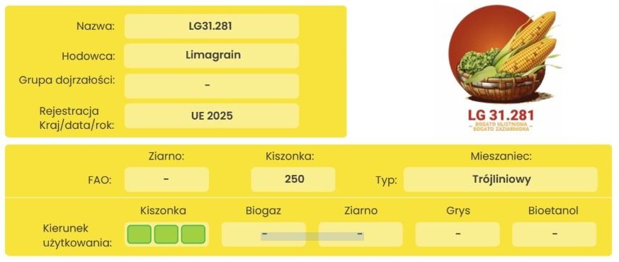 Cechy odmiany kukurydzy LG 31.281