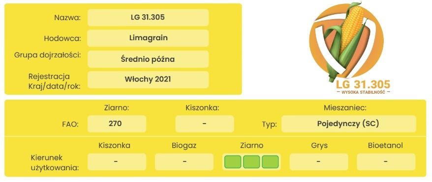 Cechy odmiany kukurydzy LG 31.305