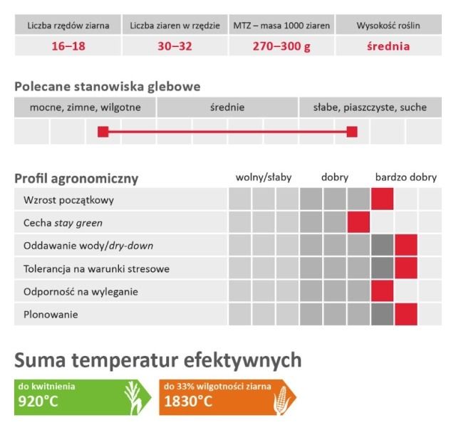 Cechy odmiany kukurydzy Limonite Limagrain