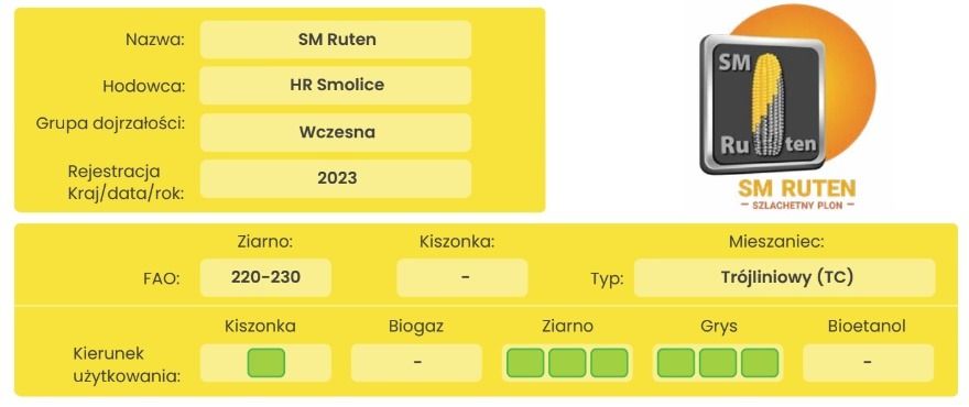 Cechy odmiany kukurydzy SM Ruten