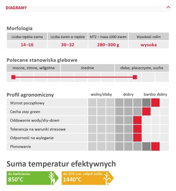 Cechy odmiany kukurydzy LG 31.279