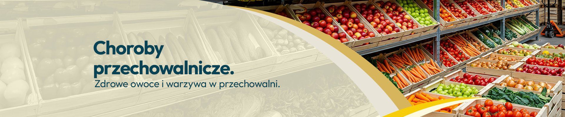 Choroby przechowalnicze