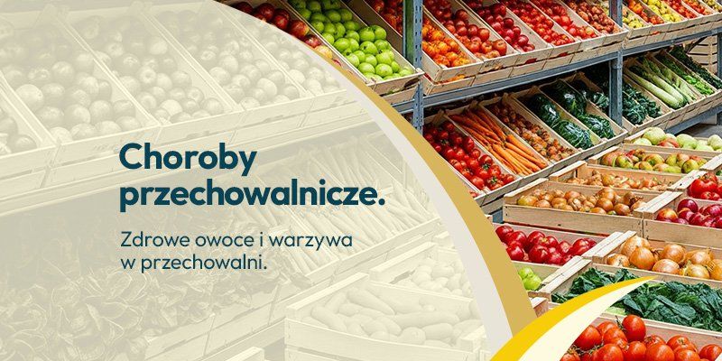 Choroby przechowalnicze