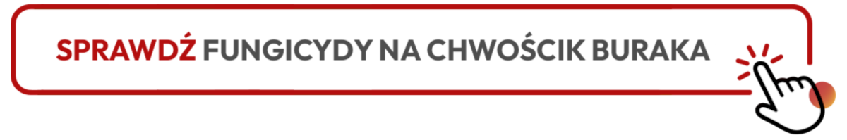 sprawdź kategorię fungicydy na chwościk buraka sprawdź kategorię fungicydy na chwościk buraka