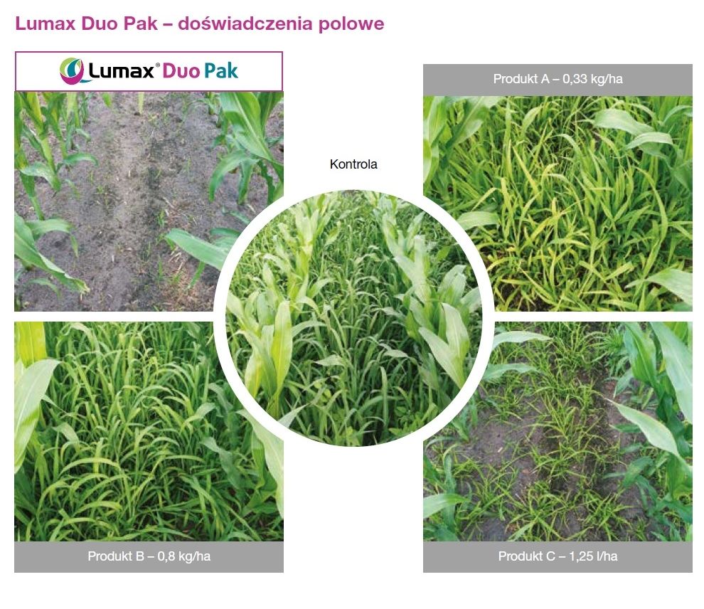 Doświadczenia lumax duo Pak