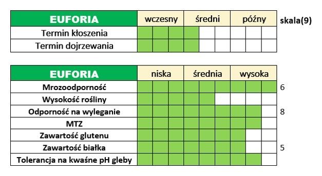 Pszenica Euforia