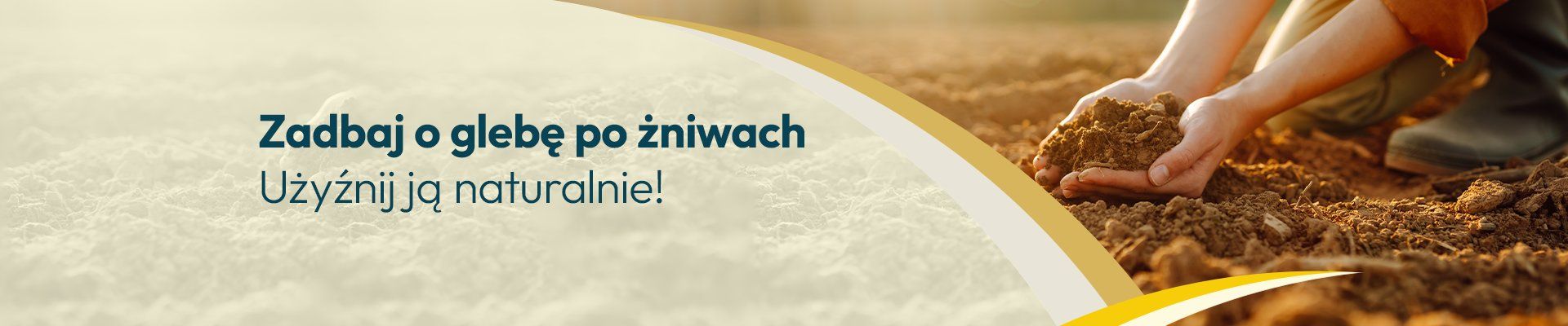 Gleba po żniwach 2025 Gleba po żniwach 2025 - Grafika