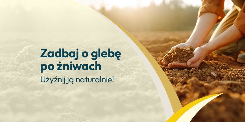 Gleba po żniwach 2025 Gleba po żniwach 2025 - Grafika