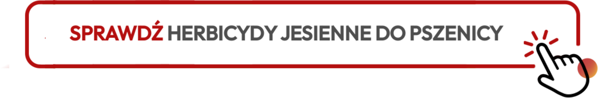 sprawdź kategorię herbicydy jesienne do pszenicy sprawdź kategorię herbicydy jesienne do pszenicy