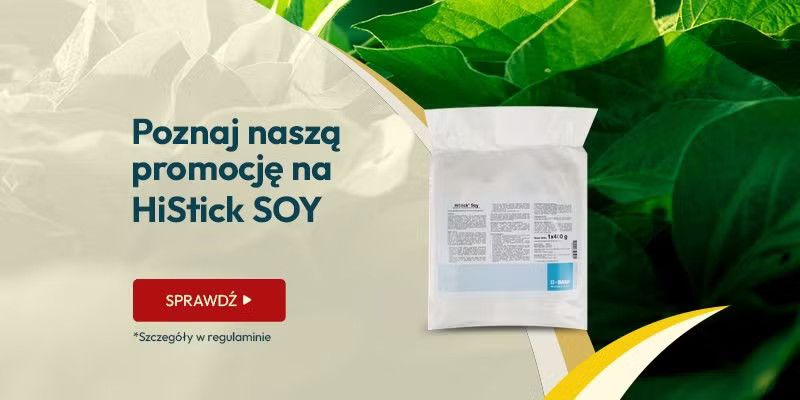 Histicksoy Histicksoy - Grafika