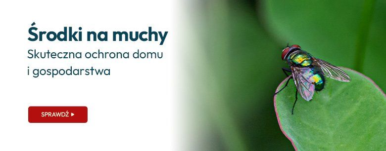 Środki na muchy - skuteczna ochrona domu i gospodarstwa