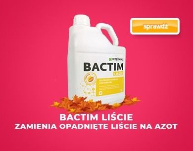 Bactim liście