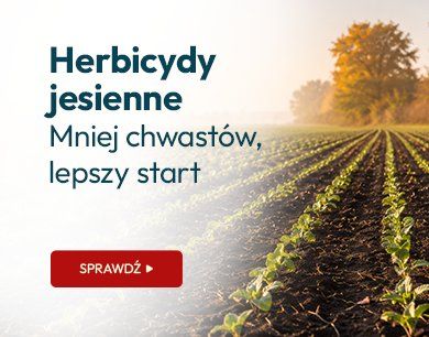 Herbicydy jesienne. Mniej chwastów, lepszy start