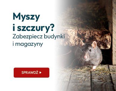 Myszy i szczury? Zabezpiecz budynki i magazyny