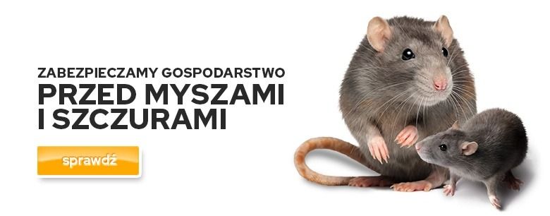 Zabezpieczamy gospodarstwo przed myszami i szczurami