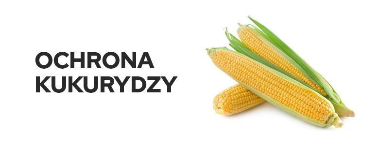 Ochrona kukurydzy |Sklepfarmera.pl