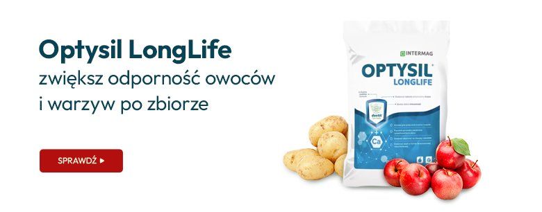 Optysil LongLife – zwiększ odporność owoców i warzyw po zbiorze