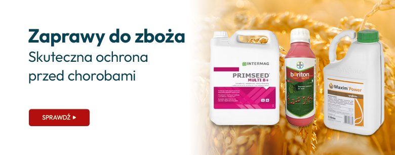 Zaprawy do zboża - skuteczna ochrona przed chorobami
