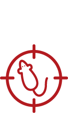 Rodentocydy