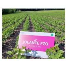 Soja Jolante PZO C1 150 tyś IGP - produkt