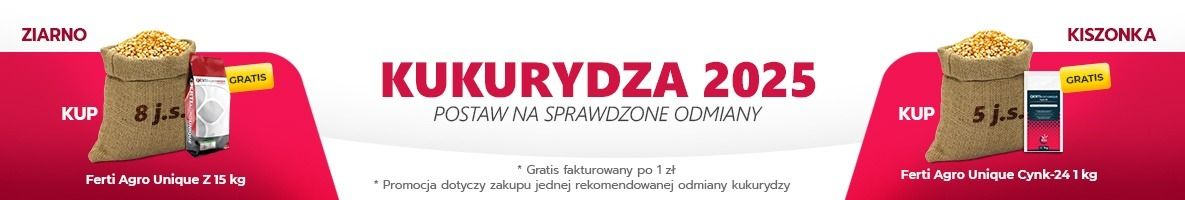 nasiona kukurydzy 2025 rekomendowane