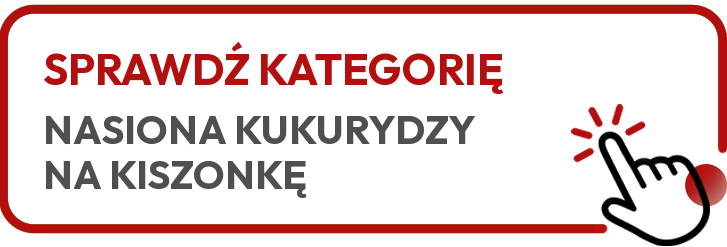 sprawdź kategorię nasiona kukurydzy na kiszonkę sprawdź kategorię nasiona kukurydzy na kiszonkę