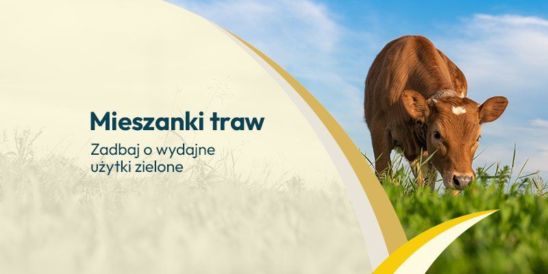 Mieszanki traw - Grafika