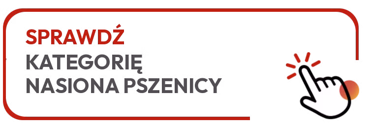 Sprawdź kategorię nasiona pszenicy 