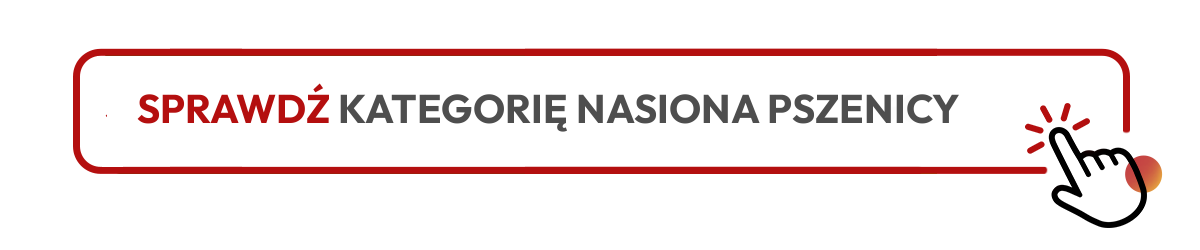 sprawdź kategorię nasiona pszenicy