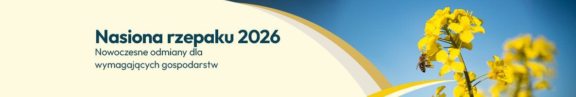 Nasiona rzepaku 2026 - Grafika
