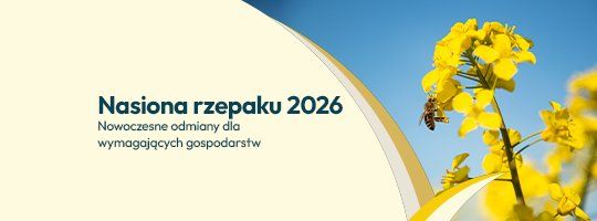 Nasiona rzepaku 2026 - Grafika