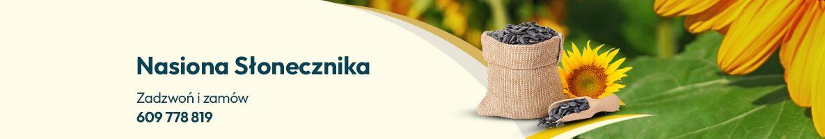 Nasiona słonecznika - Grafika