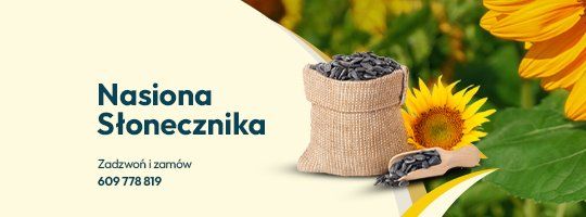 Nasiona słonecznika - Grafika
