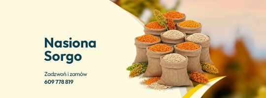Nasiona Sorgo - Grafika