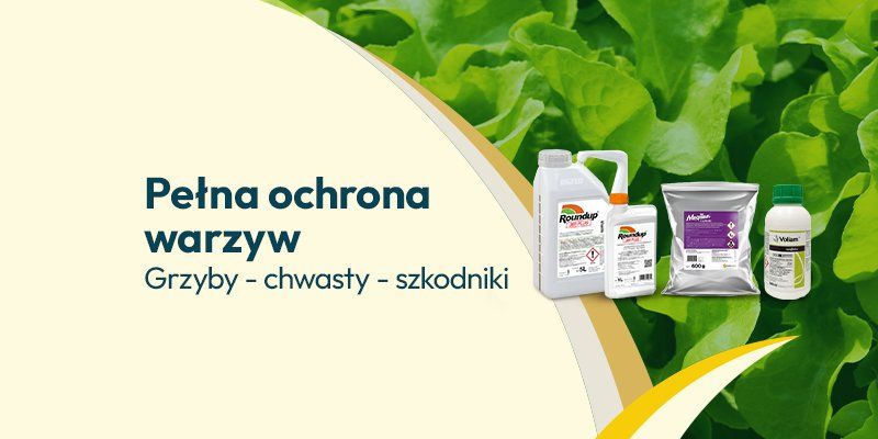 Ochrona warzyw 2025 Ochrona warzyw 2025 - Grafika