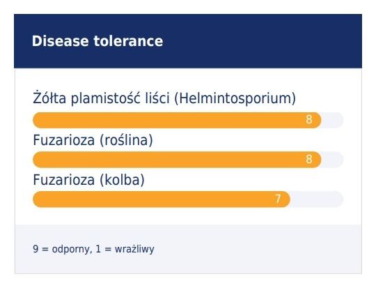 Odporność na choroby kukurydzy Mas 195P