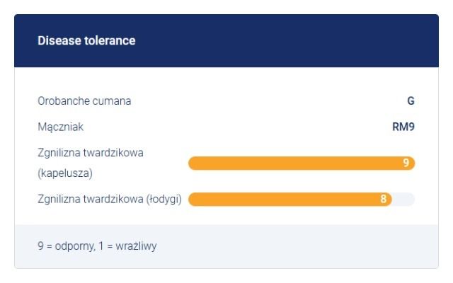 Odporność na choroby słonecznika Mas 850B Maisadour