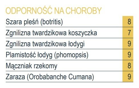 Odporność na choroby słonecznika RGT Wolf