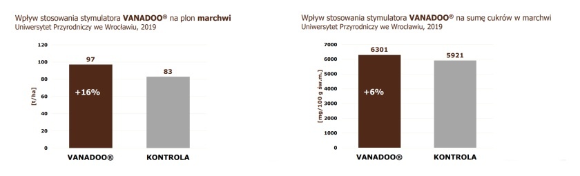 VANADOO - skuteczność w marchwi, Uniwersytet Przyrodniczy we Wrocławiu 2019
