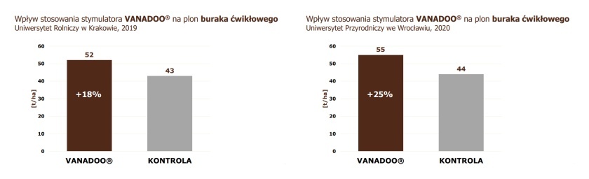 VANADOO - skuteczność w buraku Uniwersytet Rolniczy w Krakowie 2019