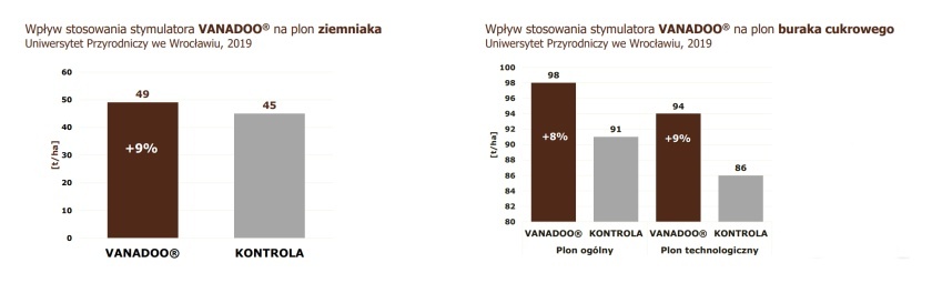 VANADOO - skuteczność w ziemniaku, Uniwersytet Przyrodniczy we Wrocławiu 2019