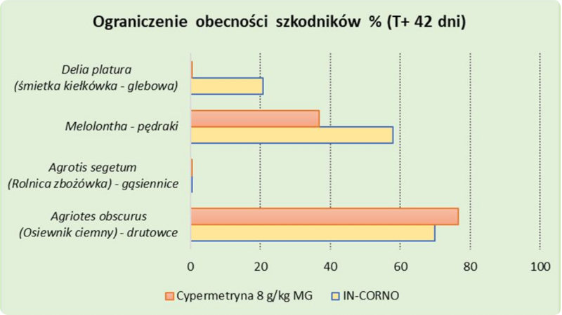 IN-CORNO - ograniczenie obecności szkodników % (T+ 42 dni)