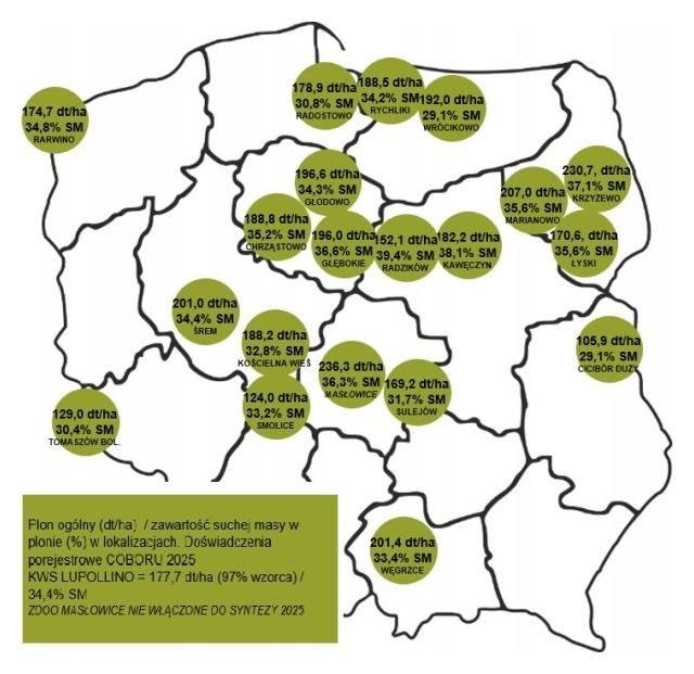 Wyniki plonowania kukurydzy KWS Lupollino