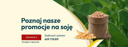 Soja 2026 - Grafika