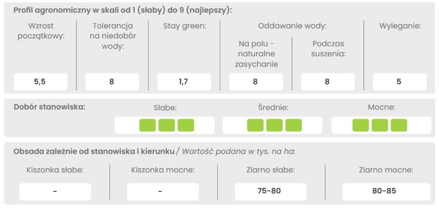 Profil odmiany kukurydzy DKC 3247