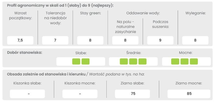 Profil odmiany kukurydzy DKC 3969