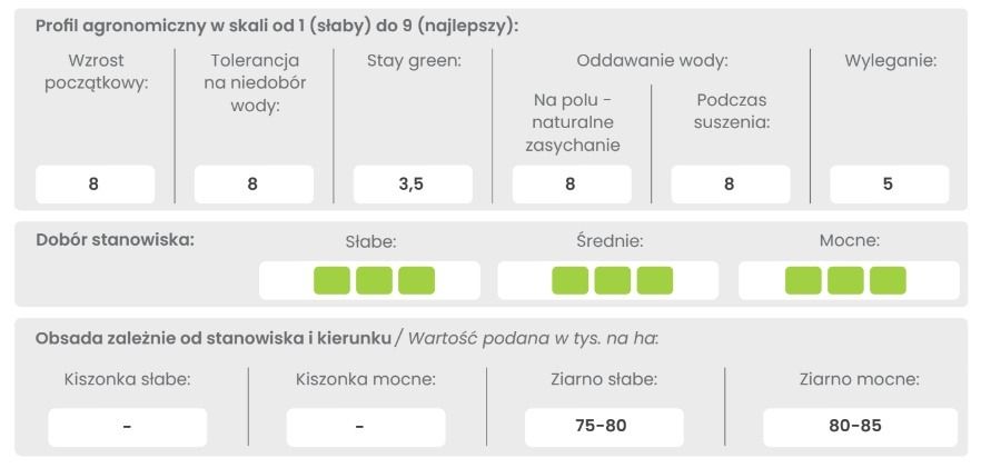 Profil odmiany kukurydzy DKC 4031