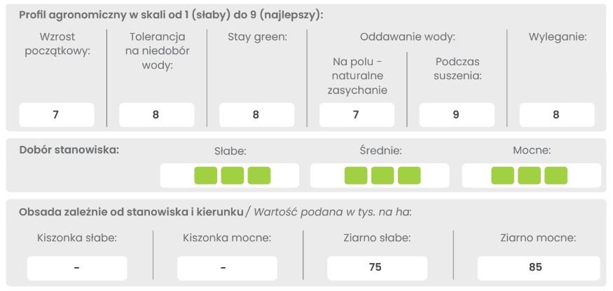 Profil odmiany kukurydzy DKC 4109