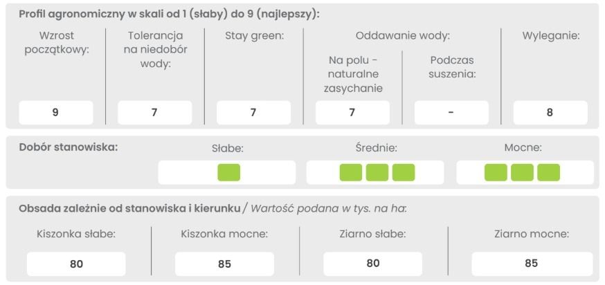 Profil odmiany kukurydzy ES Palladium